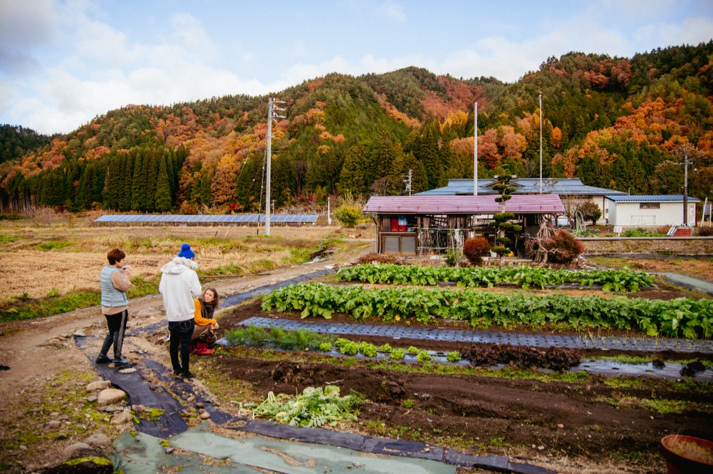 Tour atmosphere - Farmhouse garden